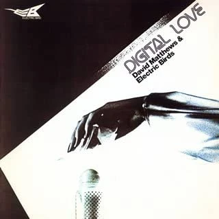 Digital Love-David Matthews and The Electric Birds