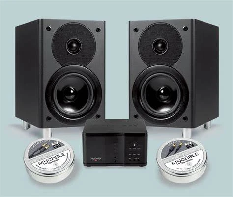 Micromega My System