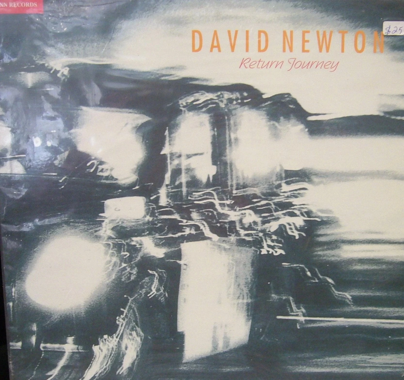David Newton/ Return Journey