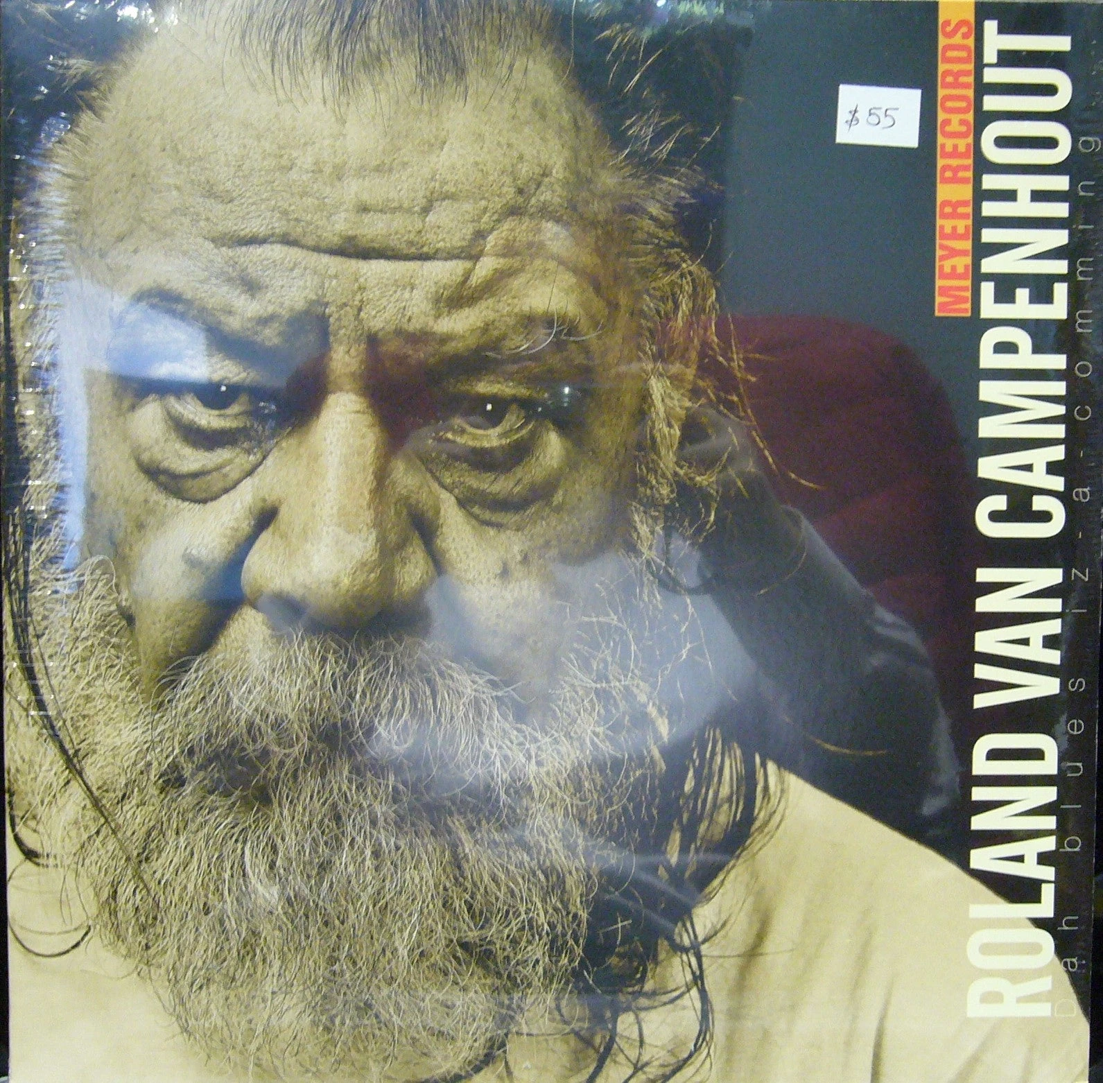 Roland Van Campenout/ Dah Blues iz-a Comming